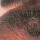 Image for article titled Dr. Pimple Popper Takes Us to Church